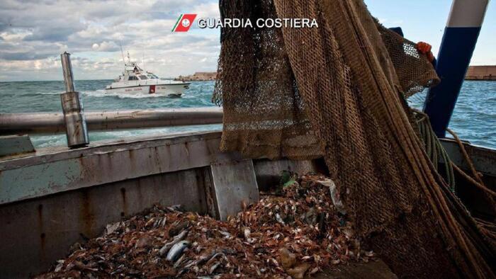 Sequestrate 3 tonnellate di pesce sul territorio laziale