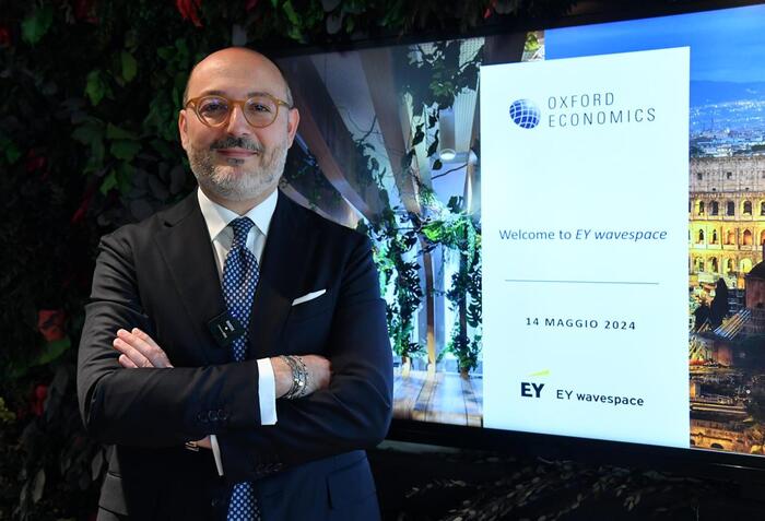 Rocco (Ey), meno spinta dagli investimenti privati nel 2024