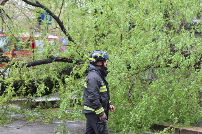 Maltempo: cade un albero a Roma, danneggiati 3 balconi