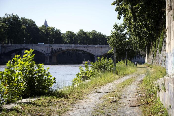 Precipita sulla banchina del Tevere a Roma, muore turista 29enne