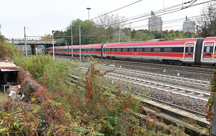 Uomo muore investito da treno vicino a Roma